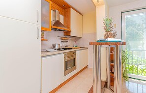 Fridge, stovetop, dishwasher, coffee/tea maker