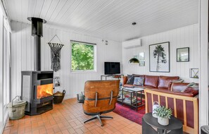 TV, fireplace, DVD player