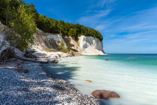 Nära stranden