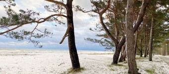 F: Ferienhaus Störtebeker - beach park - approx. 100m beach - Ferienhaus Störtebeker