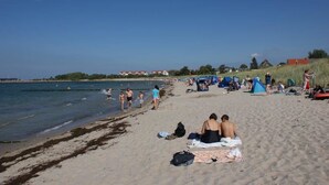 Oklassificerad bild, 4 av 15, knapp