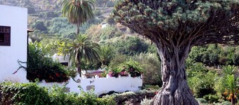 El Lagar