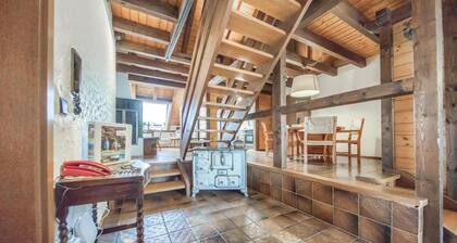 2 bedroom amazing apartment in Schonach