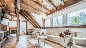 TV, fireplace, DVD player