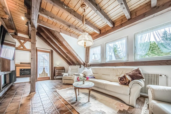 Télévision, cheminée, lecteur de DVD