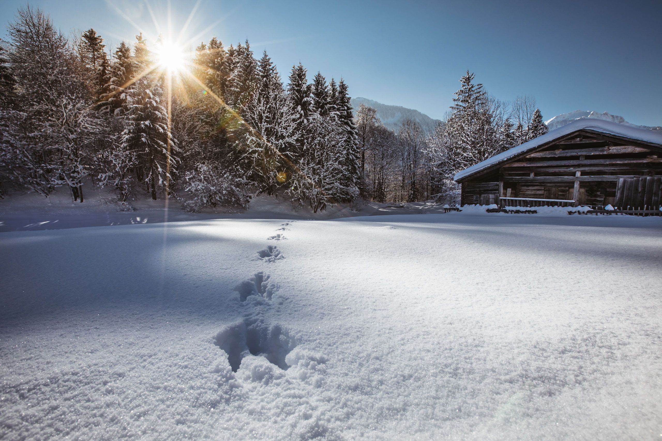 Eine verschneite Landschaft mit einer Holzhütte und blauem Himmel.