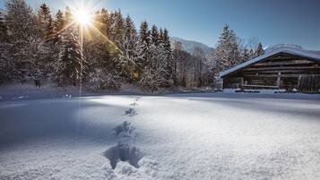 Un paysage enneigé avec une cabane en bois et un ciel dégagé.
