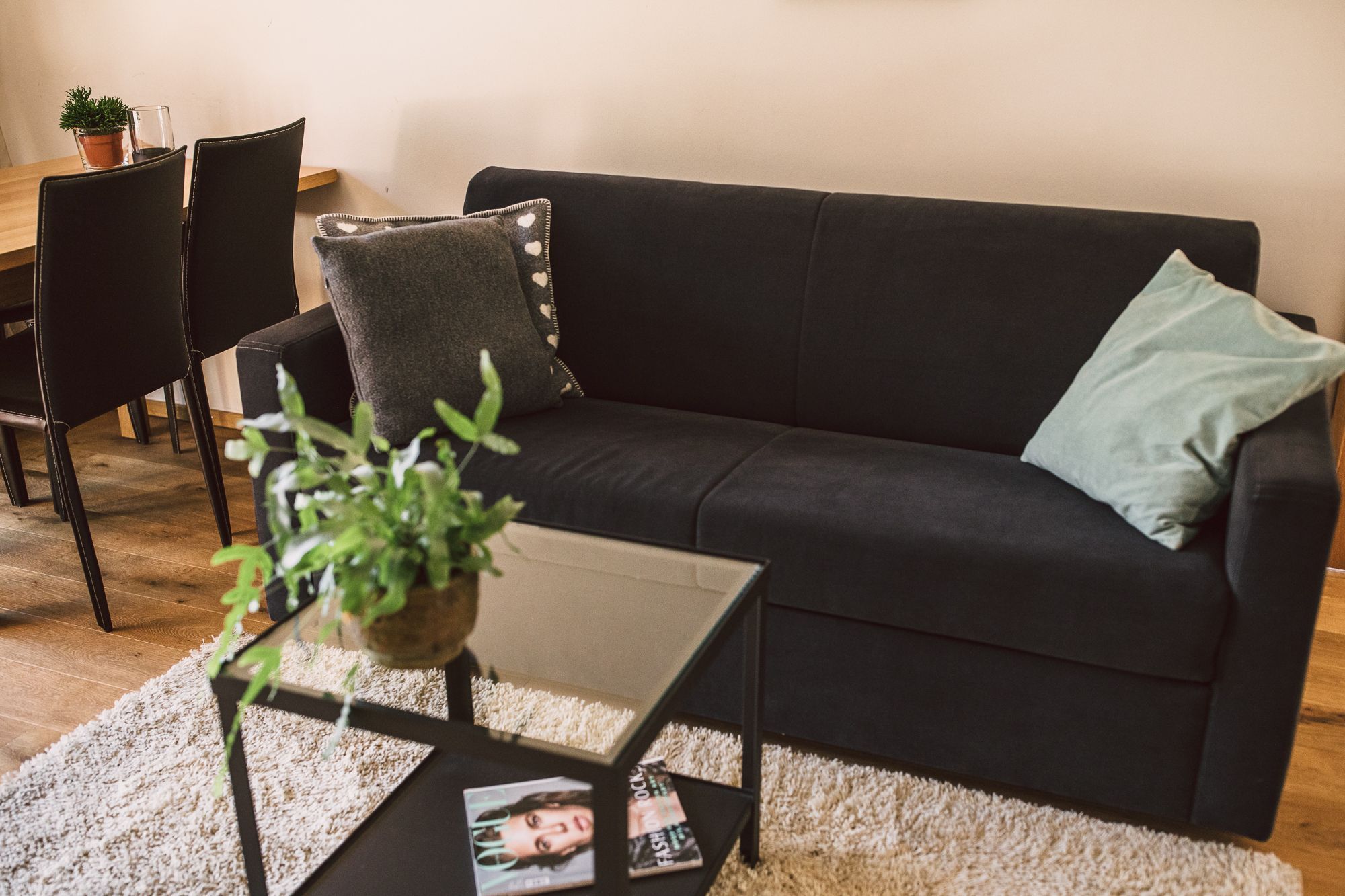 A modern living room with a black sofa, a glass coffee table, and a small potted plant.