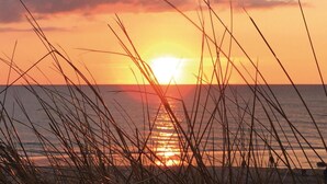 Un atardecer sobre el océano con pastos altos en primer plano.