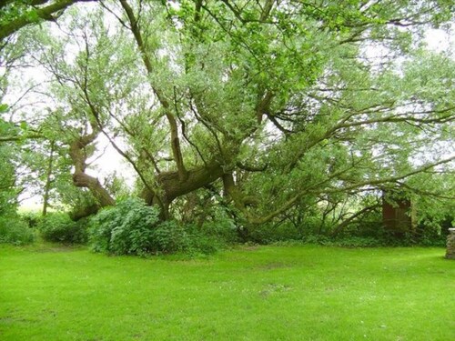 Zimmer 4 DZ - Pension Bed & Breakfast hinterm Nordseedeich