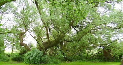 Zimmer 4 DZ - Pension Bed & Breakfast hinterm Nordseedeich