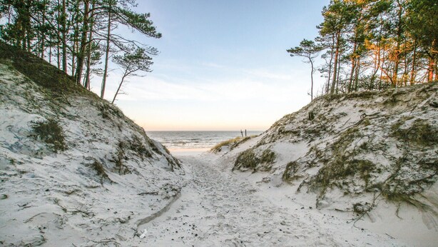 A beach path leading to the ocean, flanked by dunes and trees. - Beautiful home in Wicko with WiFi (Wicko)