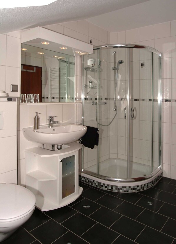 Shower, hair dryer, towels