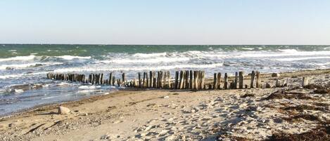 Playa en los alrededores y pesca