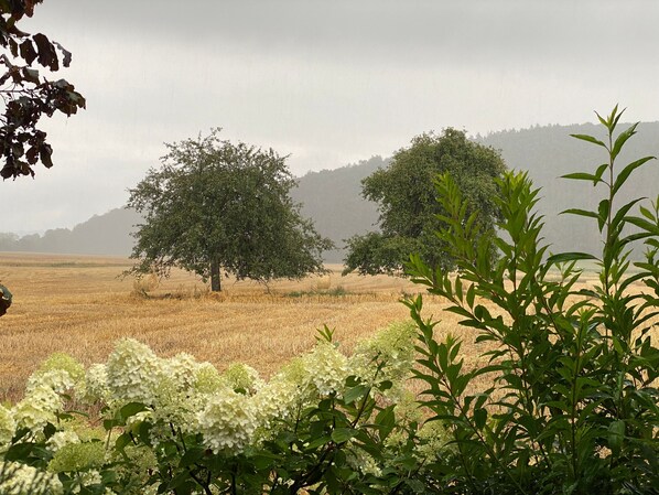 Imagen sin descripción, 1 de 25, botón