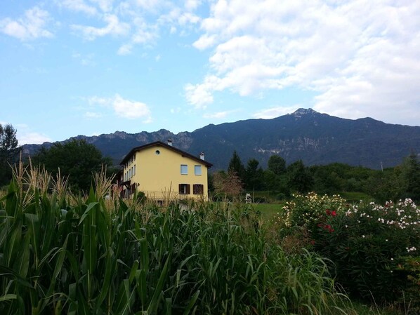 Exterior - Holiday home with garden and mountain view (Velo d Astico)
