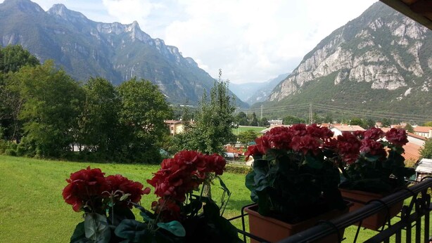 A balcony with potted red flowers, a grassy area, and a mountainous landscape in the background. - Holiday home with garden and mountain view (Velo d Astico)