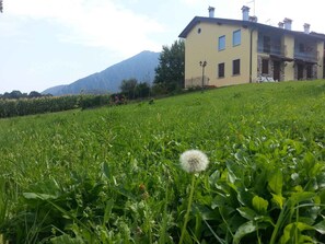 Exterior - Holiday home with garden and mountain view (Velo d Astico)
