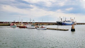Een jachthaven met verschillende boten afgemeerd bij een houten steiger.