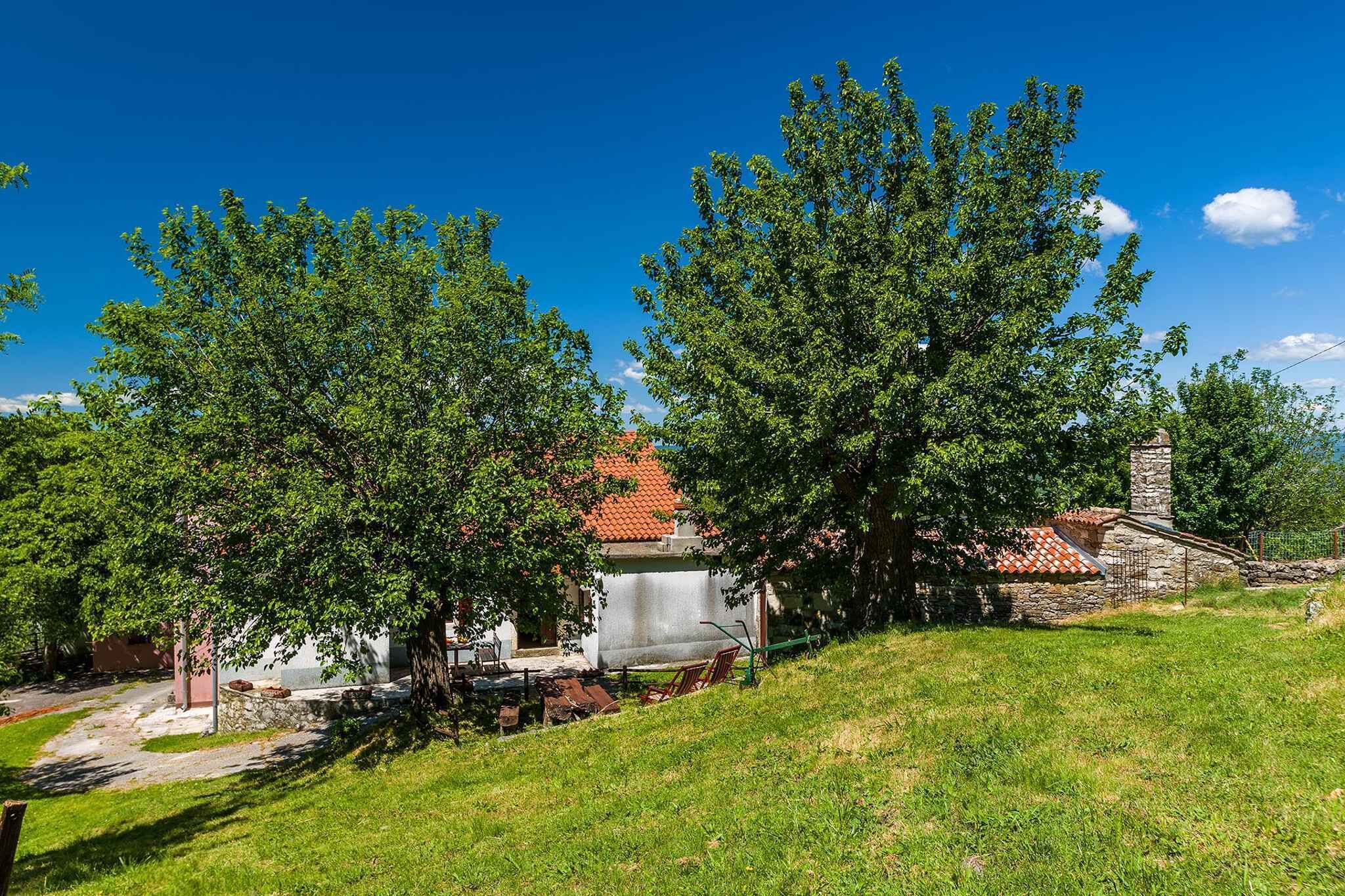 Ulkopuoli