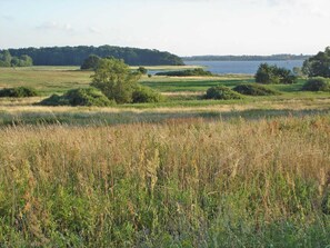 星評価なしの画像、2 / 21、ボタン