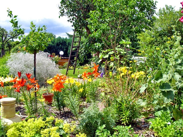 A garden with various plants and flowers, a ladder leaning against a tree, and a white fence in the background.