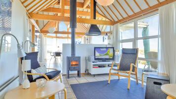 TV, fireplace, DVD player