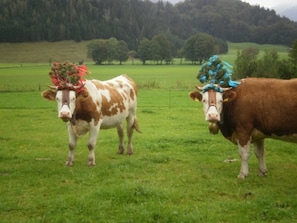 Imagen sin descripción, 4 de 10, botón