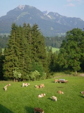 Imagen sin descripción, 3 de 10, botón