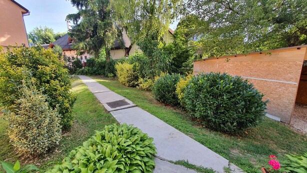 A well-maintained garden with a variety of shrubs and a concrete pathway.