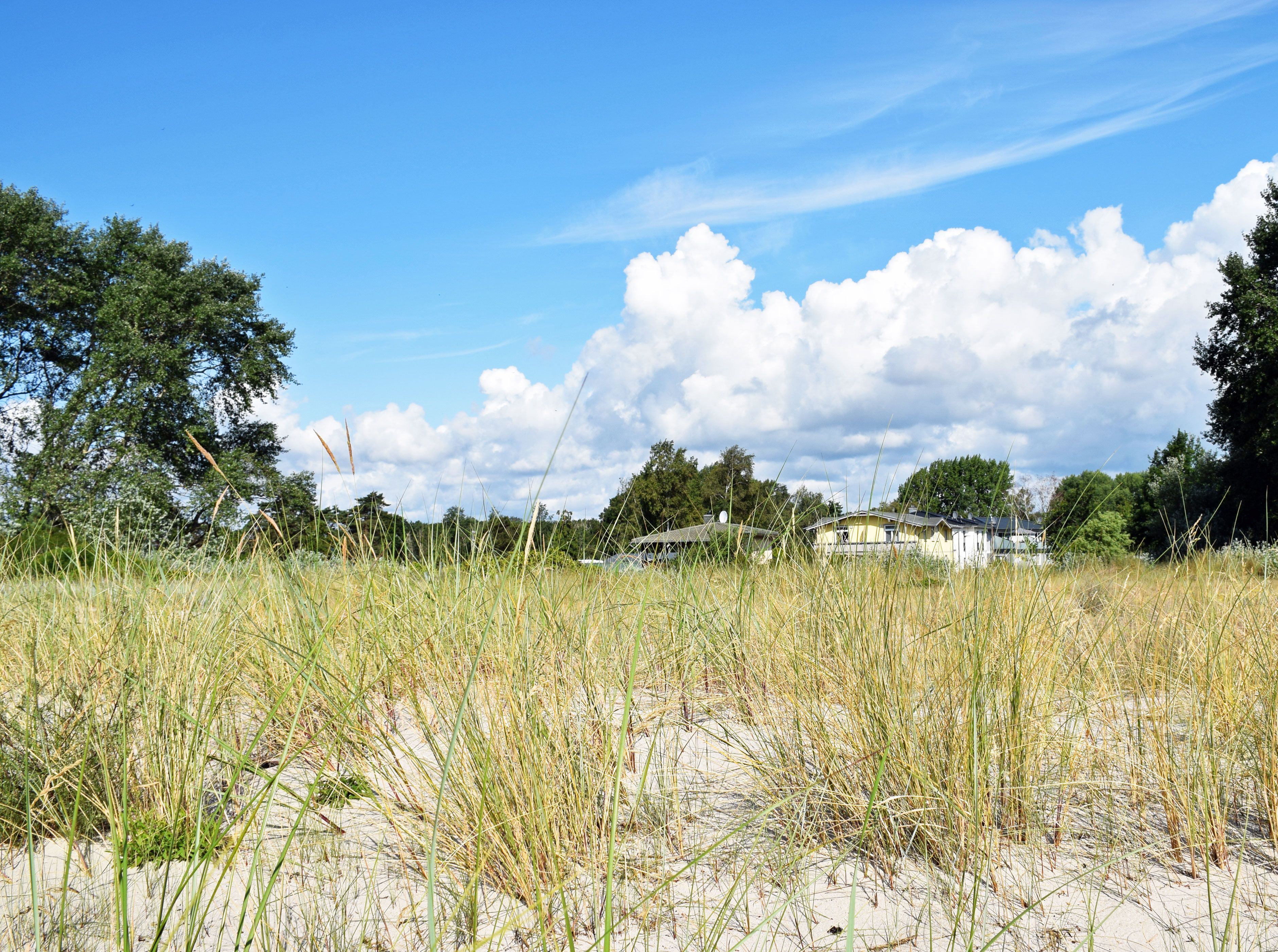 A sandy beach with tall grass and a few buildings in the background.