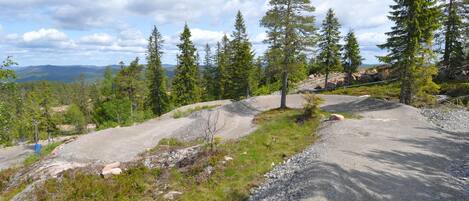 A gravel path surrounded by trees and rocky terrain.
