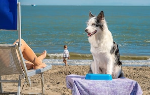 Nära stranden