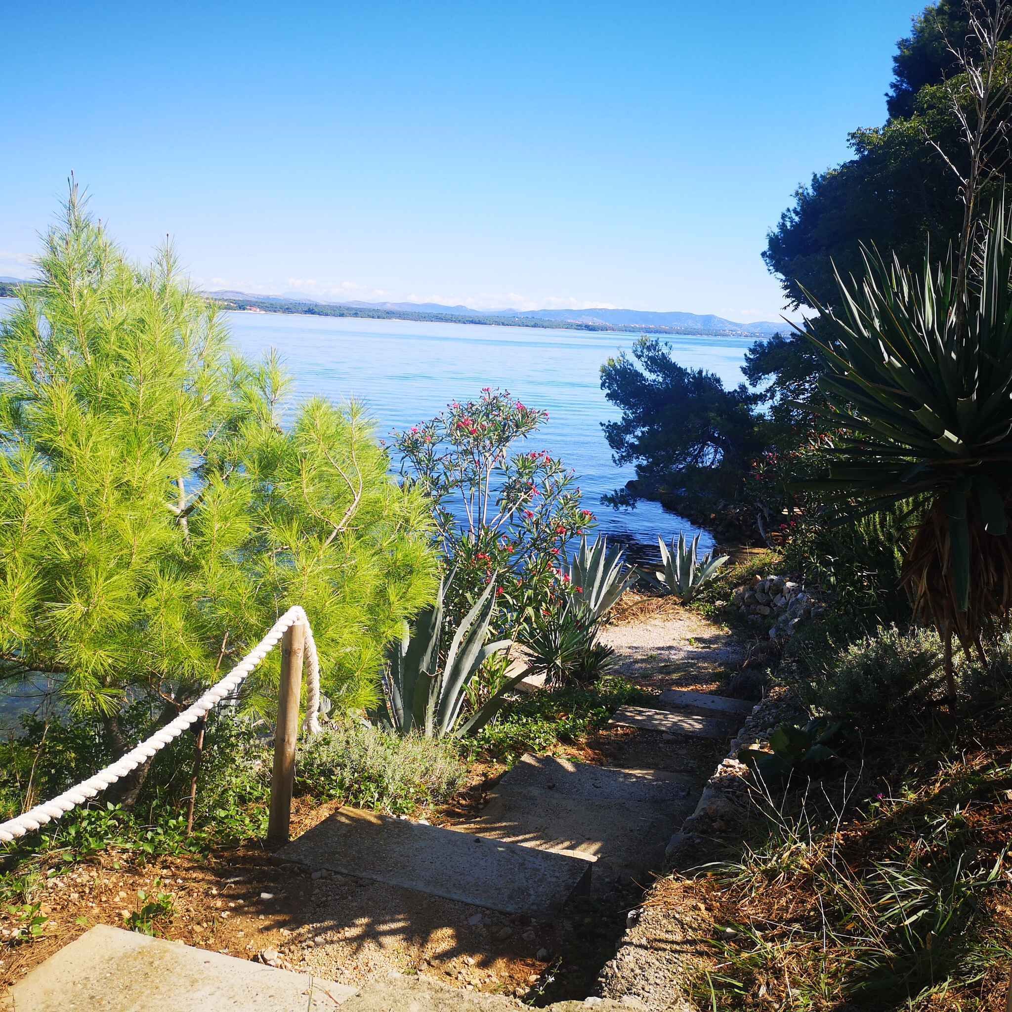 Overnatningsstedets område