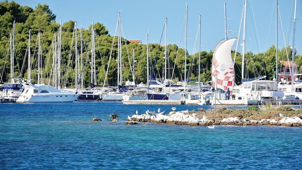 Photo non classée, 1 sur 20, bouton