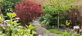 Apartment on the city harbor - Property 25829 - Apartment on the city harbor