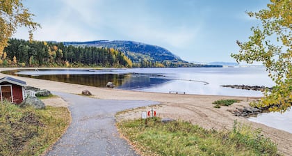 3 bedroom beautiful home in Sälen