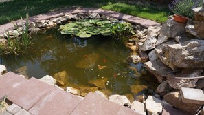 Terrain de l’hébergement 