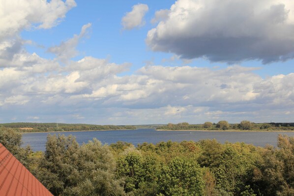 Unclassified image, 1 of 54, button