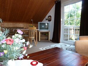 Fernseher