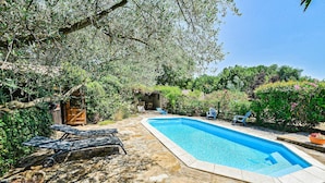 Ein rechteckiger Pool mit Steinrand, umgeben von üppiger Vegetation und Bäumen.
