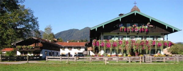 Esterni