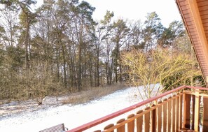 Unclassified image, 4 of 30, button