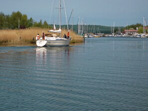 Unclassified image, 2 of 36, button