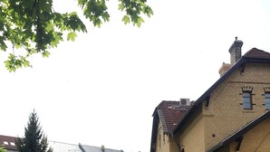 Een binnentuin met een bakstenen gebouw, een bankje en een hoge boom.