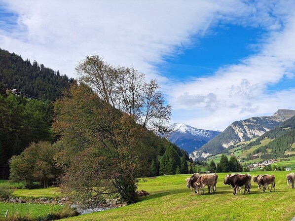 Nicht klassifiziertes Bild, 1 von 59, Schaltfläche