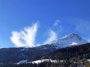 Nicht klassifiziertes Bild, 2 von 59, Schaltfläche