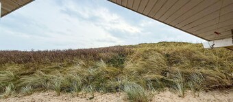 Pet friendly home in Hvide Sande