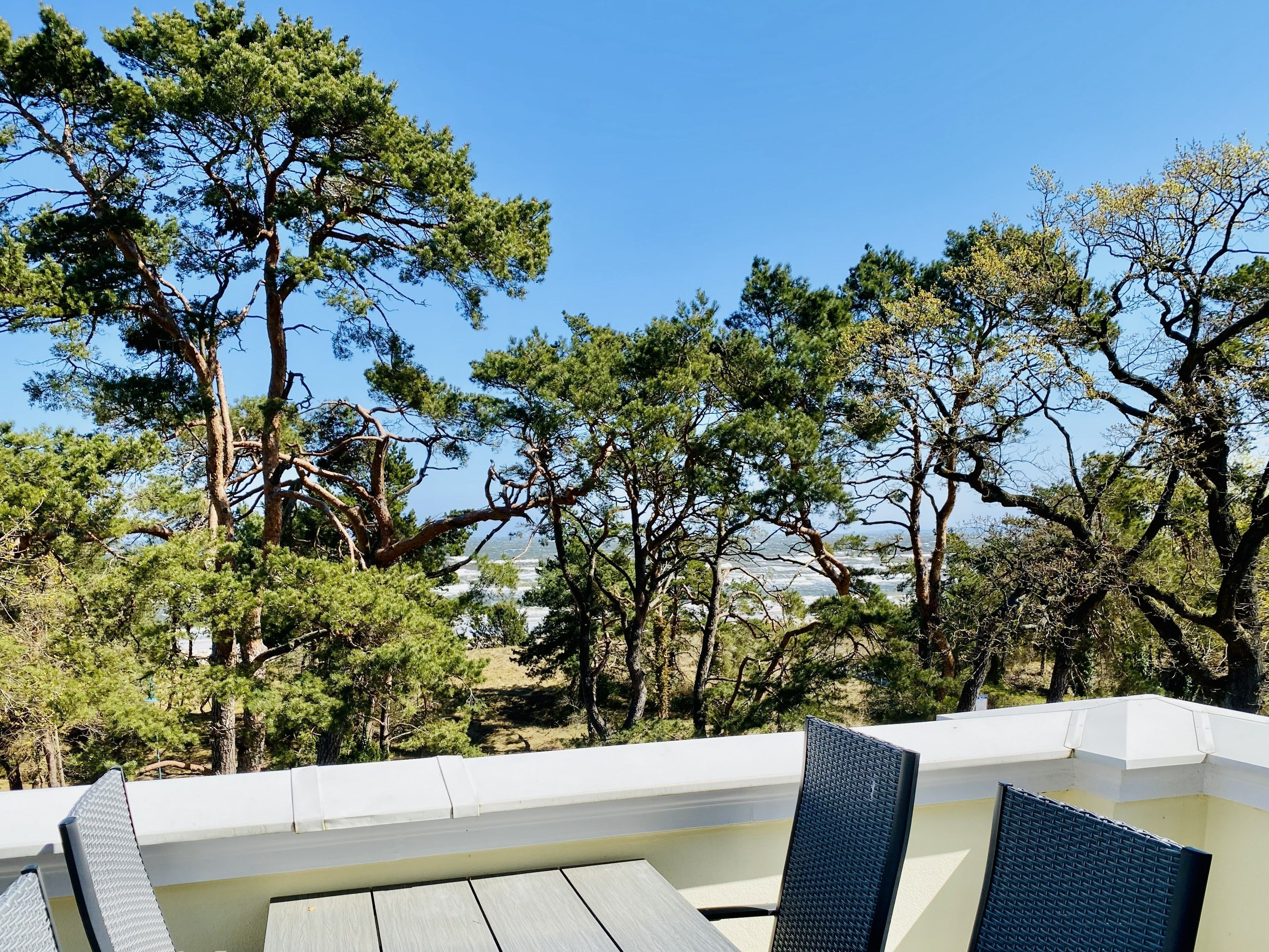 Eine Terrasse mit Blick auf Kiefern und eine entfernte Landschaft.