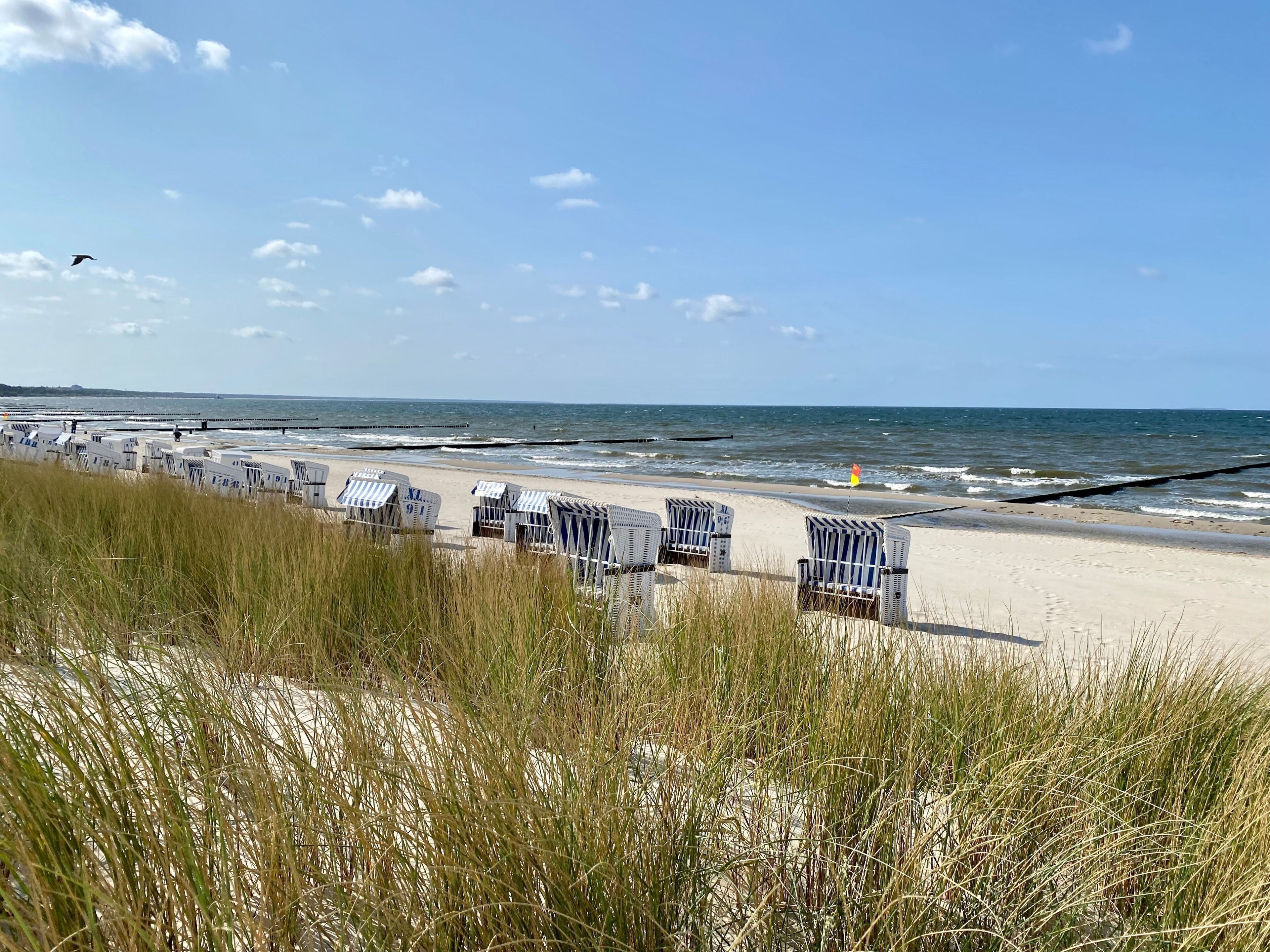Nära stranden